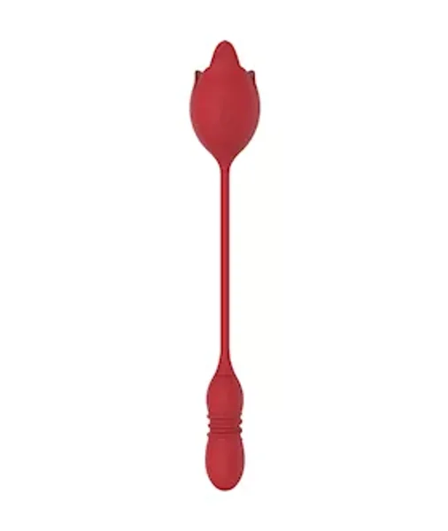 Licking Flower Vibe With Thrusting Love Egg — image 3 of 4