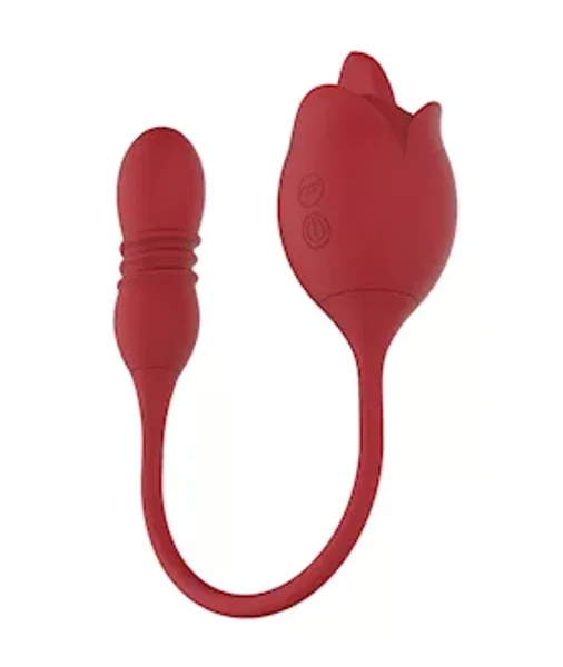 Licking Flower Vibe With Thrusting Love Egg — image 2 of 4