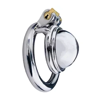 concealed chastity cage