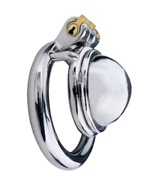 Concealed Chastity Cage — image 4 of 6