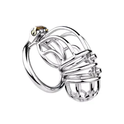 spiked chastity cage