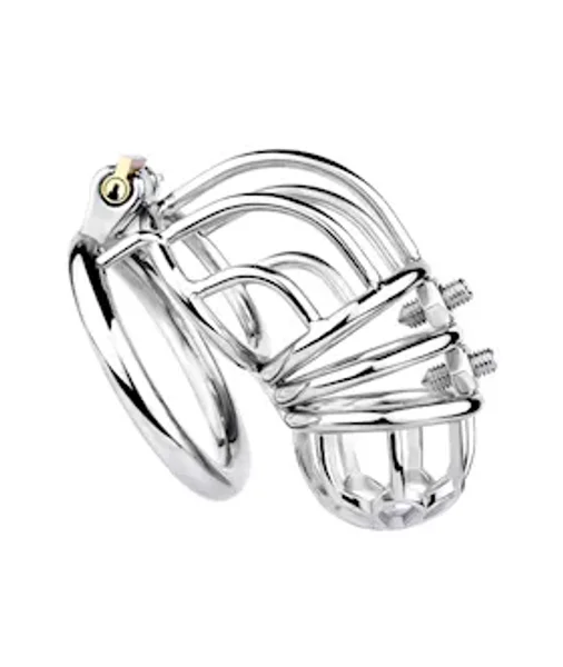 Spiked Chastity Cage — image 3 of 3