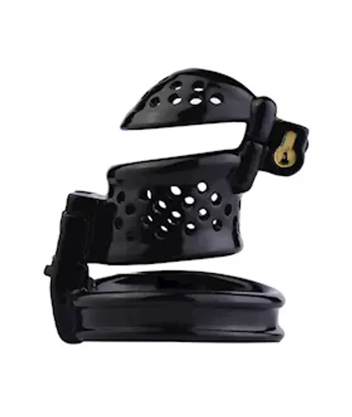 Trapped Chastity Cage — image 4 of 5
