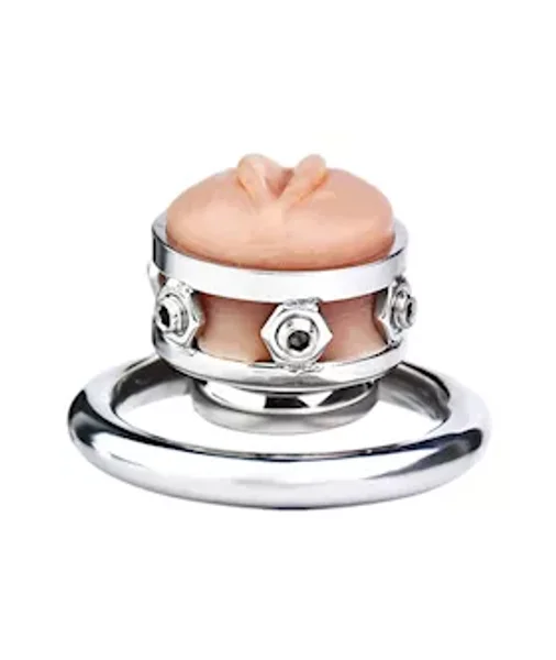 Sissy Switch Inverted Chastity Cage — image 3 of 4