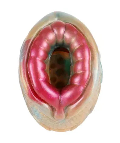 Flirty Fish Fantasy Masturbator — image 2 of 3