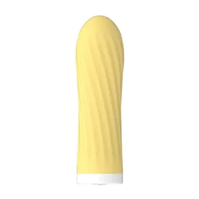 point pleasure bullet vibrator