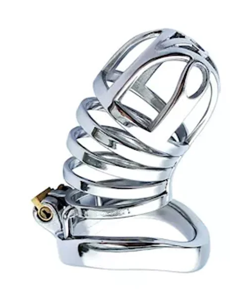 Locked Up Chastity Cage — image 2 of 3