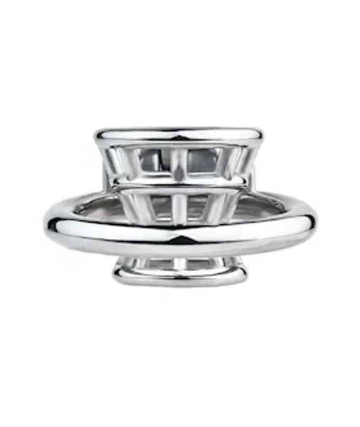 Basket Chastity Cage — image 3 of 3