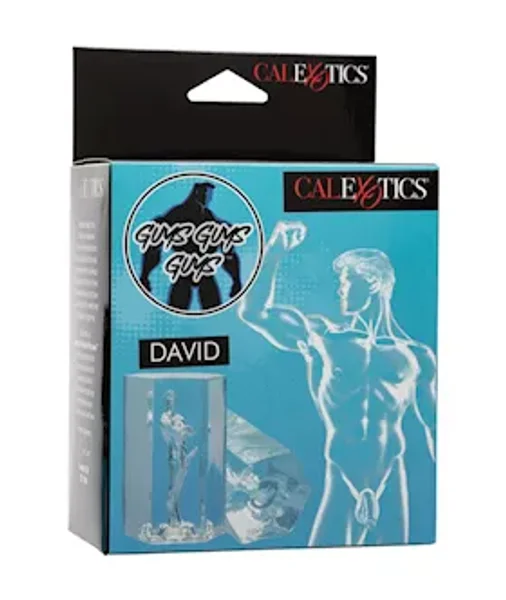 Guys Guys Guys David Masturbator — image 2 of 8