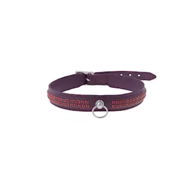 bound x purple collar with red rhinestones two rows