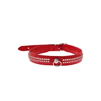 bound x red collar with silver rhinestones two rows