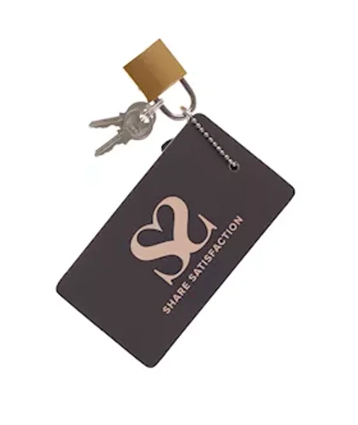 Bound X Padlock — image 2 of 2