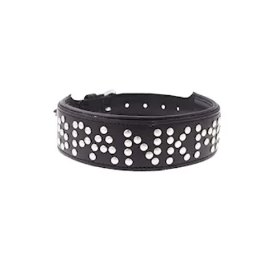 bound x spank me studded collar