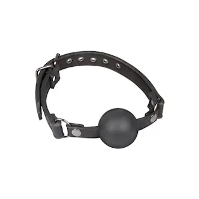 easytoys large ball gag
