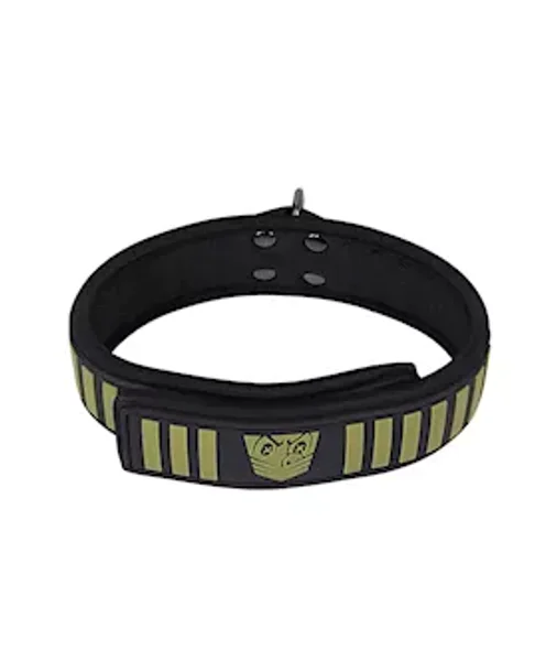 Fort Troff Tactical Collar & Leash — image 3 of 4