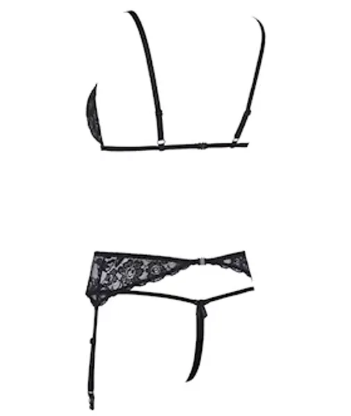 Peek-a-boo Lace Suspender Set — image 4 of 5