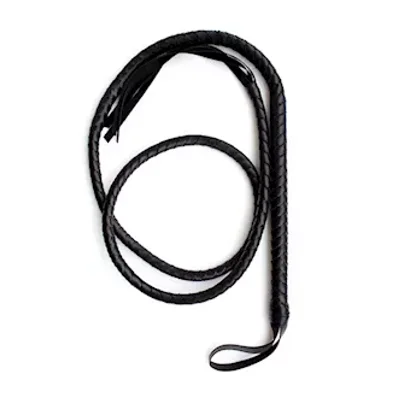 kinki snake whip