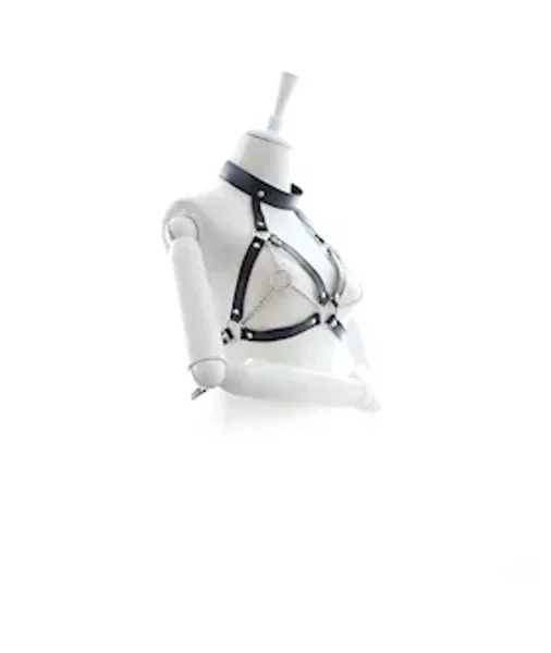 Greater Satisfaction Harness — image 2 of 2