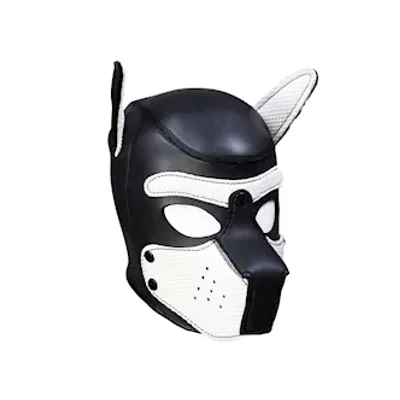 mans best friend puppy hood