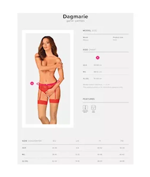 Obsessive Dagmarie Garter Panties — image 5 of 5