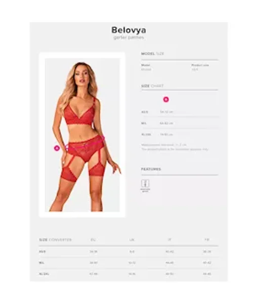 Obsessive Belovya Garter Panties — image 5 of 5