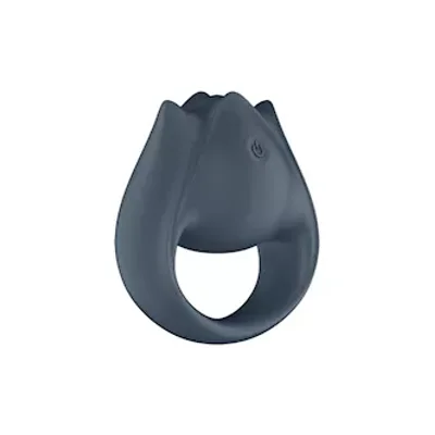 satisfyer perfect pair 2