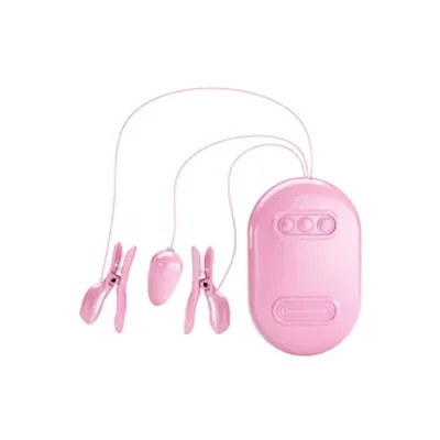 surprise box electroshock vibrating nipple clamps and bullet vibe
