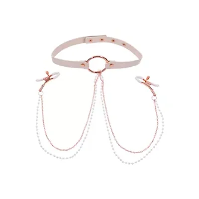 peaches n creame collar with nipple clamps