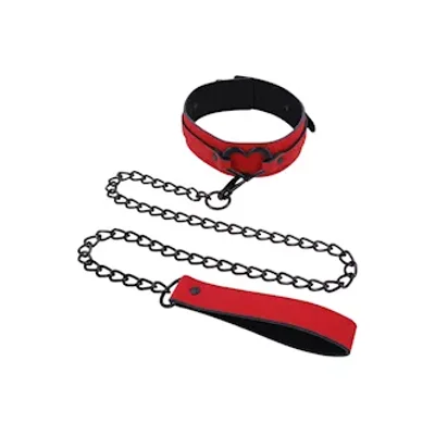 amor collar and leash