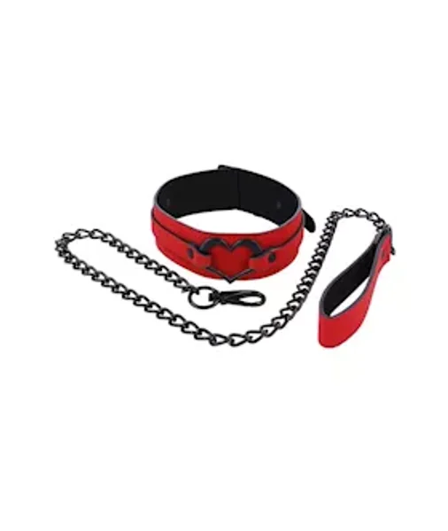 Amor Collar And Leash — image 3 of 4