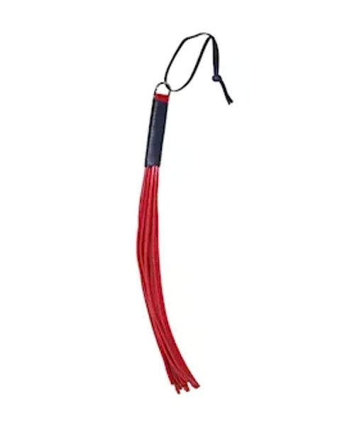 Zado Discipline Whip — image 2 of 3
