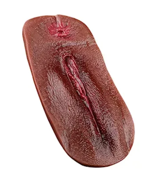 Vagina Panty Pad — image 8 of 18