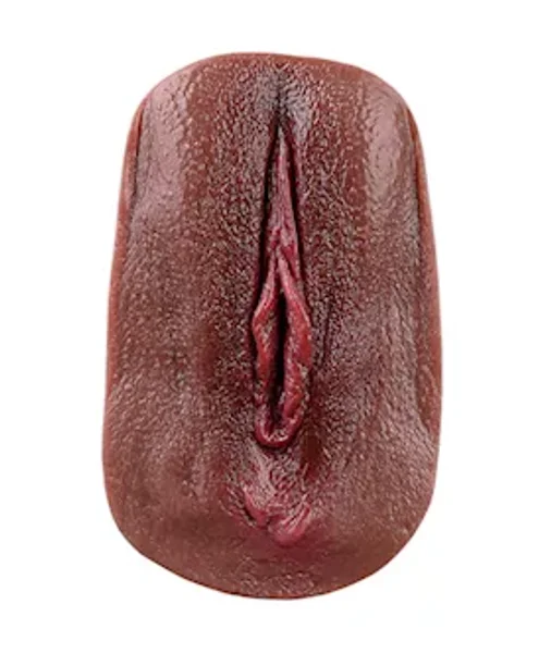 Vagina Panty Pad — image 4 of 18