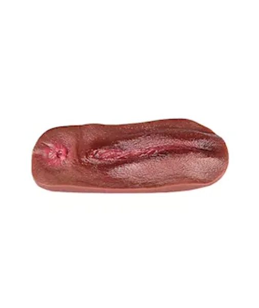 Vagina Panty Pad — image 9 of 18