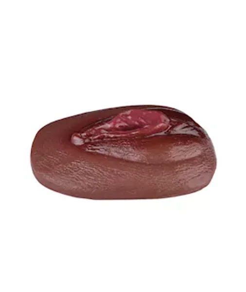 Vagina Panty Pad — image 12 of 18