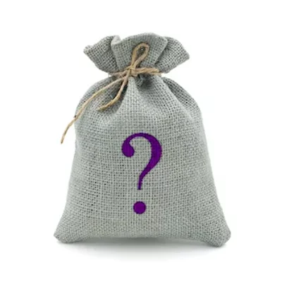 mystery bag role play