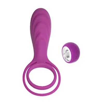 slipper remote controlled couples toy