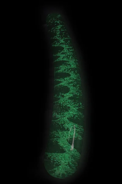 Kiotis Glow in the Dark 6.7" Glass Dildo — image 10 of 10