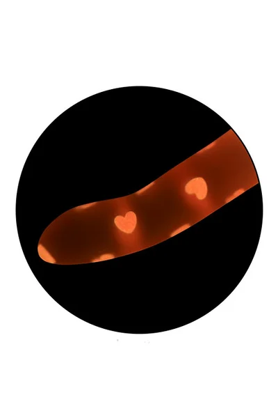 Calexotics Glow Stick Heart 6" Dildo with Decorative Heart Patterns — image 3 of 6