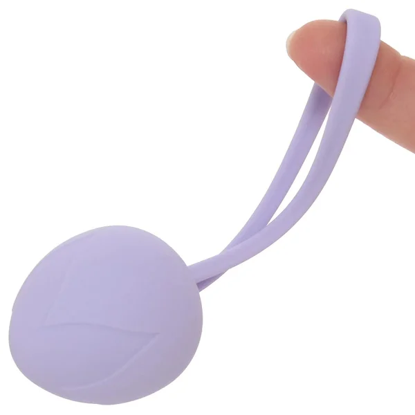 Loveline - PelviFit Berry Kegel Kit — image 8 of 9