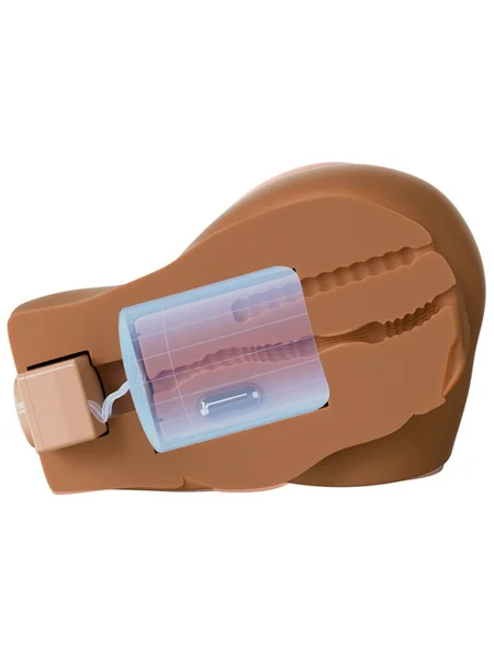 PDX Elite Back That Ass Up - Brown - Brown USB Rechargeable Auto Mega Masturbator — image 10 of 10