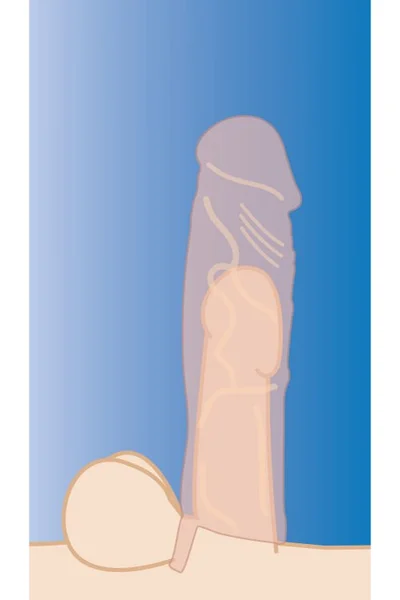 Size Matters Realistic Silicone Penis Extension with 2" Tip — image 14 of 15