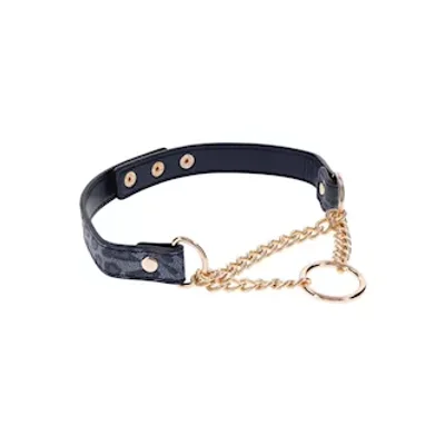 sex and mischief cougar day collar