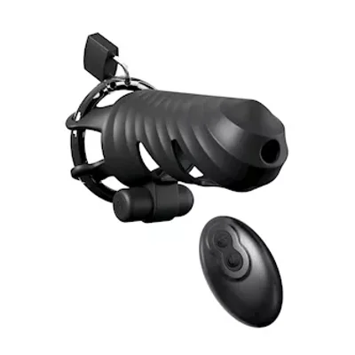 fantasy c ringz remote controlled vibrating cock blocker
