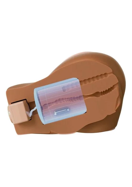 PDX Elite Back That Ass Up Automatic Rechargeable Mega Masturbator — image 4 of 4