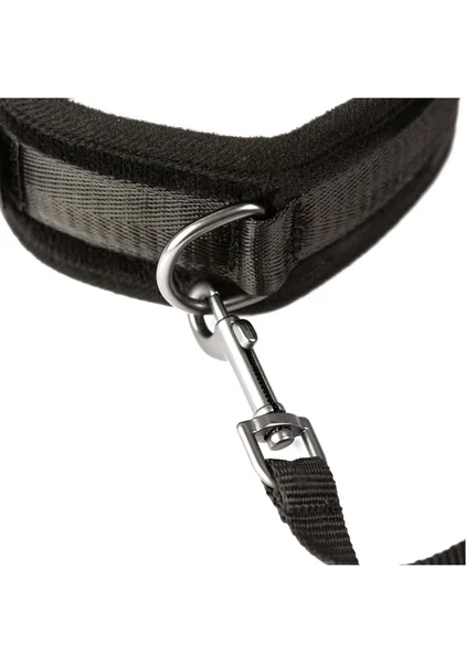 Take the Lead - Padded Neck Collar and Leash — image 3 of 5