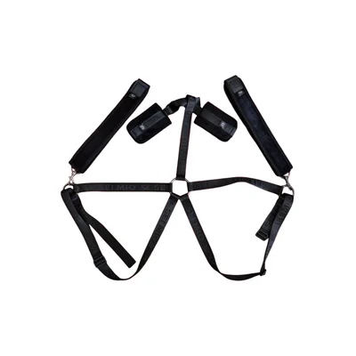 trussed issues adjustable body harness restraint system