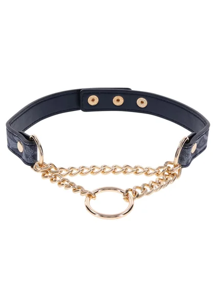 Cougar Day Collar — image 5 of 8