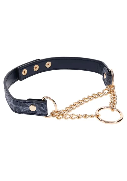 Cougar Day Collar — image 6 of 8