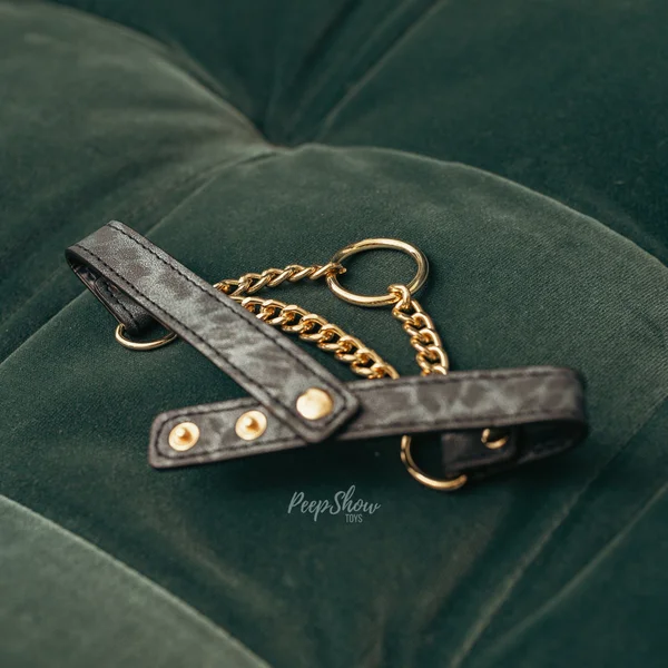 Cougar Day Collar — image 18 of 24